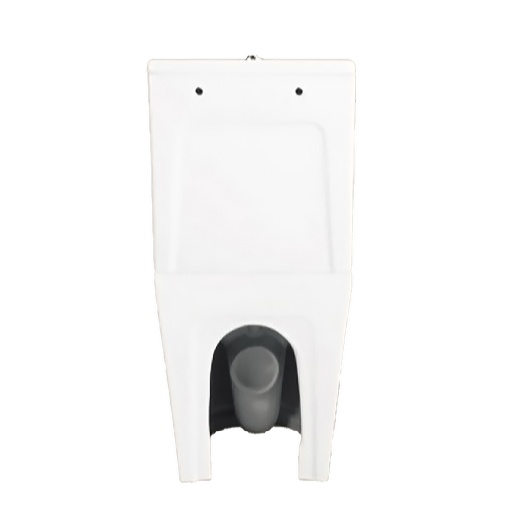 URBATEC URB788381F Унитаз-компакт BTW 605х370х800 мм Rimless Cox, с сиденьем, выпуск Vario, белый глянец