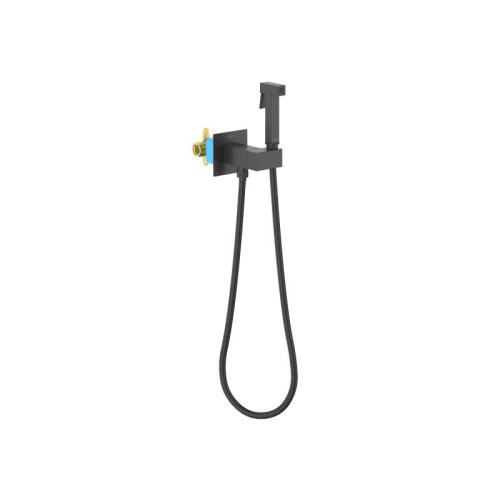 Комплект для гигиенического душа встроенный AQUATEK AQ1025MB ЛИРА
