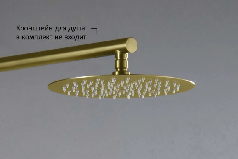 AQ2073BG круглый верхний душ 250*2 мм, шлиф. золото