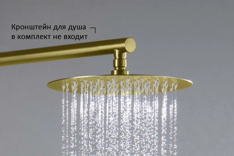 AQ2073BG круглый верхний душ 250*2 мм, шлиф. золото