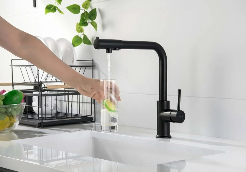 Смеситель для кухни с подключением к фильтру питьевой воды AQUATEK, матовый черный AQ1386MB ЕВРОПА